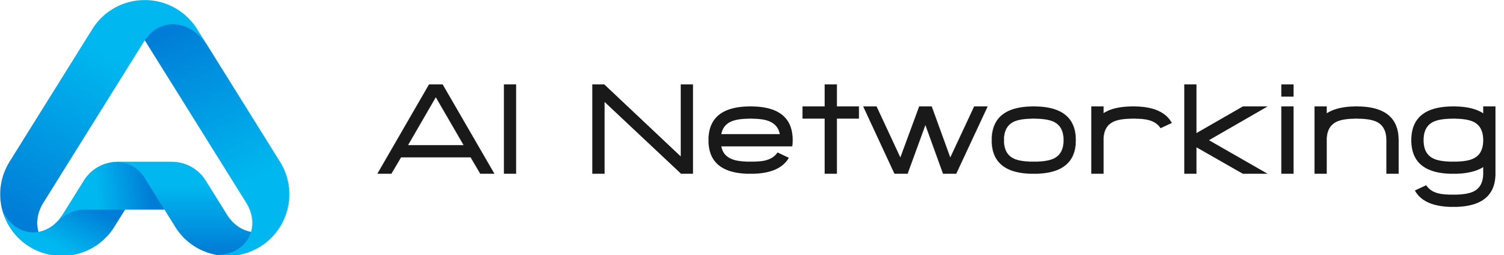 A1 Networking Logo